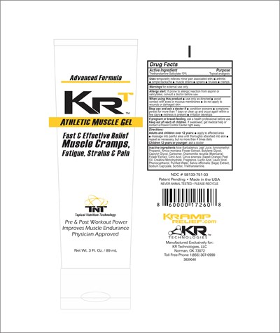 Principal Display Panel (Krt 3849 040)